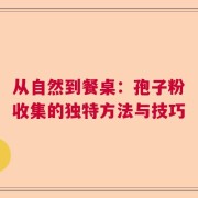 从自然到餐桌：孢子粉收集的独特方法与技巧