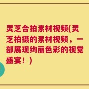 灵芝合拍素材视频(灵芝拍摄的素材视频，一部展现绚丽色彩的视觉盛宴！)