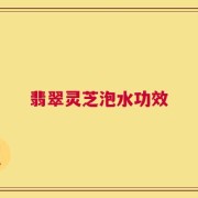 翡翠灵芝泡水功效