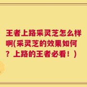 王者上路采灵芝怎么样啊(采灵芝的效果如何？上路的王者必看！)