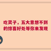 吃灵子，五大意想不到的惊喜好处等你来发现