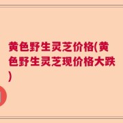 黄色野生灵芝价格(黄色野生灵芝现价格大跌)