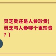 灵芝贵还是人参珍贵(灵芝与人参哪个更珍贵？)