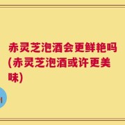 赤灵芝泡酒会更鲜艳吗(赤灵芝泡酒或许更美味)