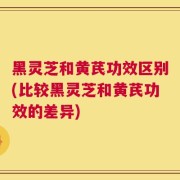 黑灵芝和黄芪功效区别(比较黑灵芝和黄芪功效的差异)