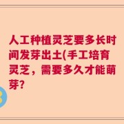 人工种植灵芝要多长时间发芽出土(手工培育灵芝，需要多久才能萌芽？