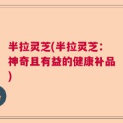 半拉灵芝(半拉灵芝：神奇且有益的健康补品)