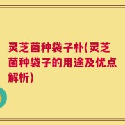 灵芝菌种袋子朴(灵芝菌种袋子的用途及优点解析)