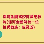 漯河金鹏驾校陈灵芝教练(漯河金鹏驾校一位优秀教练：陈灵芝)