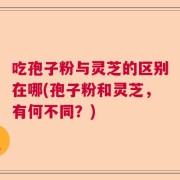 吃孢子粉与灵芝的区别在哪(孢子粉和灵芝，有何不同？)