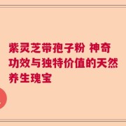 紫灵芝带孢子粉 神奇功效与独特价值的天然养生瑰宝