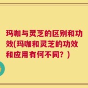 玛咖与灵芝的区别和功效(玛咖和灵芝的功效和应用有何不同？)
