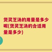 煲灵芝汤的用量是多少呢(煲灵芝汤的合适用量是多少)