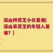深山种灵芝小伙是谁(深山采灵芝的年轻人是谁？)