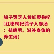 鸽子灵芝人参红枣枸杞(红枣枸杞鸽子人参汤：祛疲劳、滋补身体的养生汤)