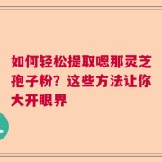 如何轻松提取嗯那灵芝孢子粉？这些方法让你大开眼界