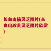 长白山摘灵芝图片(长白山珍贵灵芝图片欣赏)