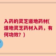 入药的灵芝道地药材(道地灵芝药材入药，有何功效？)