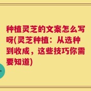 种植灵芝的文案怎么写呀(灵芝种植：从选种到收成，这些技巧你需要知道)