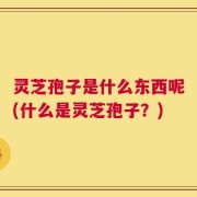 灵芝孢子是什么东西呢(什么是灵芝孢子？)