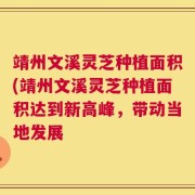 靖州文溪灵芝种植面积(靖州文溪灵芝种植面积达到新高峰，带动当地发展