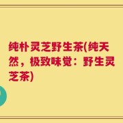 纯朴灵芝野生茶(纯天然，极致味觉：野生灵芝茶)