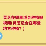 灵芝在哪里适合种植呢视频(灵芝适合在哪些地方种植？)