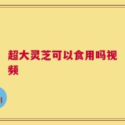 超大灵芝可以食用吗视频