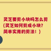 灵芝要剪小块吗怎么剪(灵芝如何剪成小块？简单实用的剪法！)