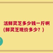 活鲜灵芝多少钱一斤啊(鲜灵芝现价多少？)