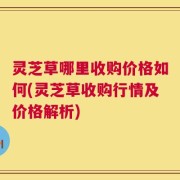 灵芝草哪里收购价格如何(灵芝草收购行情及价格解析)