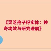 《灵芝孢子籽实体：神奇功效与研究进展》