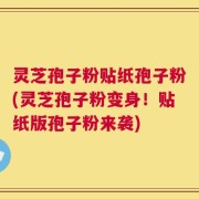 灵芝孢子粉贴纸孢子粉(灵芝孢子粉变身！贴纸版孢子粉来袭)