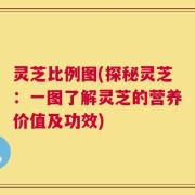 灵芝比例图(探秘灵芝：一图了解灵芝的营养价值及功效)