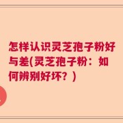 怎样认识灵芝孢子粉好与差(灵芝孢子粉：如何辨别好坏？)