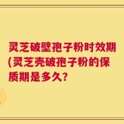灵芝破壁孢子粉时效期(灵芝壳破孢子粉的保质期是多久？