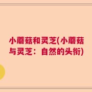 小蘑菇和灵芝(小蘑菇与灵芝：自然的头衔)