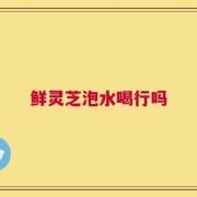 鲜灵芝泡水喝行吗