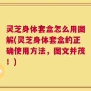 灵芝身体套盒怎么用图解(灵芝身体套盒的正确使用方法，图文并茂！)