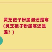 灵芝孢子粉属温还是寒(灵芝孢子粉属寒还是温？)