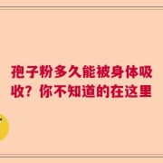 孢子粉多久能被身体吸收？你不知道的在这里