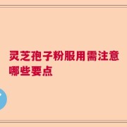灵芝孢子粉服用需注意哪些要点