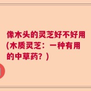 像木头的灵芝好不好用(木质灵芝：一种有用的中草药？)
