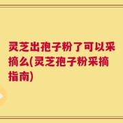 灵芝出孢子粉了可以采摘么(灵芝孢子粉采摘指南)