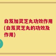 白芨加灵芝丸功效作用(白芨灵芝丸的功效及作用)