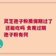 灵芝孢子粉质保期过了 还能吃吗 食用过期孢子粉有何