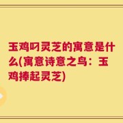 玉鸡叼灵芝的寓意是什么(寓意诗意之鸟：玉鸡捧起灵芝)