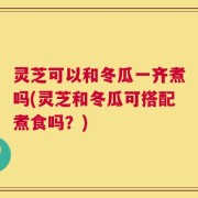 灵芝可以和冬瓜一齐煮吗(灵芝和冬瓜可搭配煮食吗？)