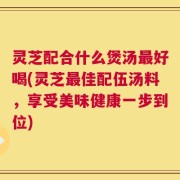 灵芝配合什么煲汤最好喝(灵芝最佳配伍汤料，享受美味健康一步到位)