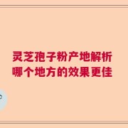灵芝孢子粉产地解析 哪个地方的效果更佳